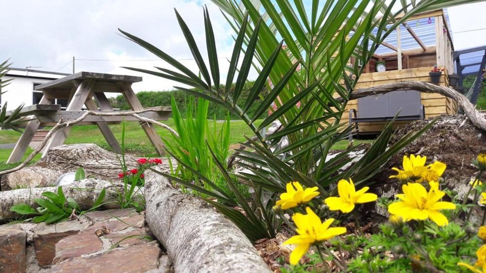 Greenways Valley Holiday Park 大托灵顿 外观 照片