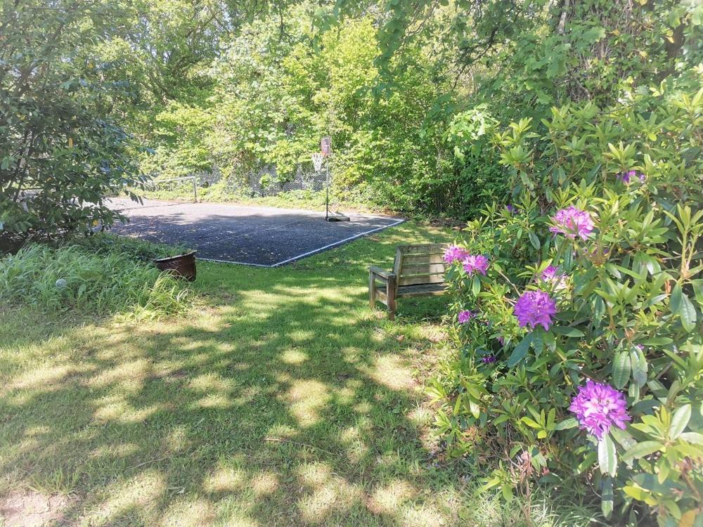 Greenways Valley Holiday Park 大托灵顿 外观 照片